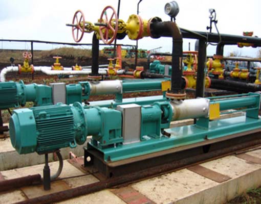 Nemo Multiphase pump